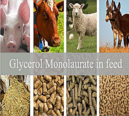 फ़ीड Additives: ग्लिसरॉल मोनोलॉरेट GML80 पाउडर पशु के लिए